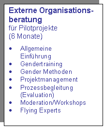 Textfeld: Externe Organisations-beratung
für Pilotprojekte
(6 Monate)
· Allgemeine
Einführung
· Gendertraining
· Gender Methoden
· Projektmanagement
· Prozessbegleitung (Evaluation)
· Moderation/Workshops
· Flying Experts